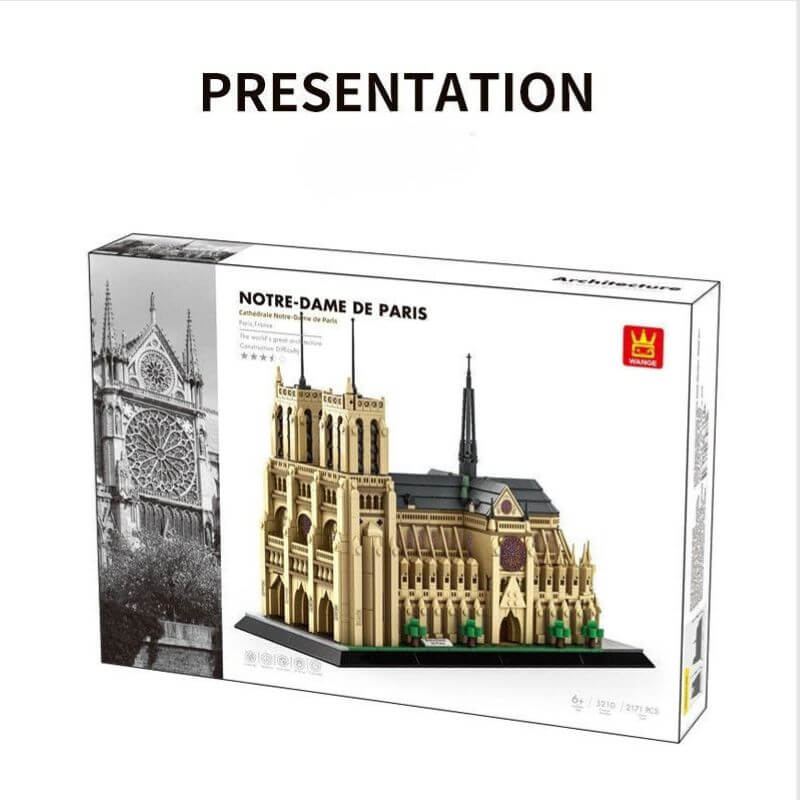 Paris Notre Dame Cathedral