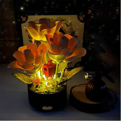 Magic Bloom Rose – A Gift That Comes to Life