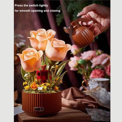 Magic Bloom Rose – A Gift That Comes to Life