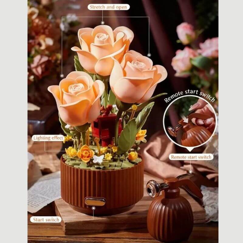 Magic Bloom Rose – A Gift That Comes to Life
