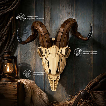 Sheep Skull