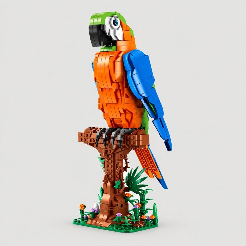 Macaw