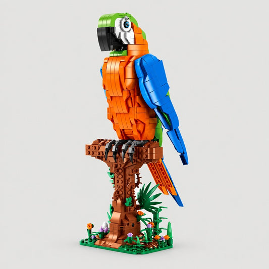 Macaw
